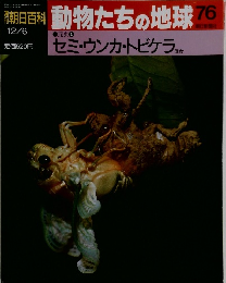 朝日百科　動物たちの地球76　12/6号