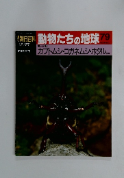 朝日百科動物たちの地球79　昆虫7 カブトムシ・コガネムシ・ホタル
