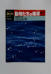朝日百科動物たちの地球　47　5月17日号