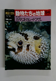 朝日百科動物たちの地球94