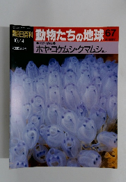 朝日百科 動物たちの地球 67　10/4号　無脊椎動物 7
