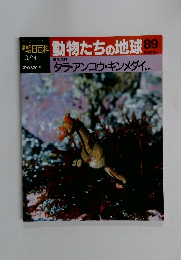 朝日百科動物たちの地球89　3月14日号