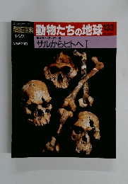 朝日百科動物たちの地球133　地球と人間の歴史 1 サルからヒトへI
