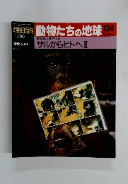 朝日百科　1/30号　動物たちの地球134