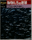 朝日百科動物たちの地球93　4月11日号