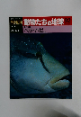 朝日百科動物たちの地球92　4/4号　魚類 8　ベラ ハゼ ほか