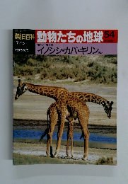 韓朝日百科動物たちの地球54　哺乳類II⑥ イノシシ・カバ・キリン