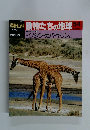 韓朝日百科動物たちの地球54　哺乳類II⑥ イノシシ・カバ・キリン