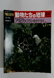 朝日百科動物たちの地球64　9月13日号