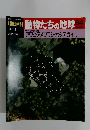 朝日百科動物たちの地球64　9月13日号