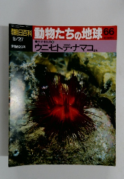 動物たちの地球66　ウニ・ヒトデ・ナマコほか