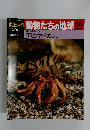 朝日百科動物たちの地球68　10月11日号