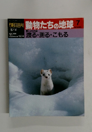 朝日百科動物たちの地球　7　8月4日号　渡る・測る・こもる