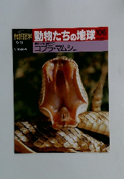 朝日百科動物たちの地球106　7/11号　両生類・爬虫類 10　コブラ・マムショか
