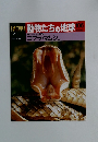 朝日百科動物たちの地球106　7/11号　両生類・爬虫類 10　コブラ・マムショか