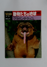 朝日百科　5/10号　動物たちの地球46