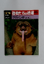 朝日百科　5/10号　動物たちの地球46