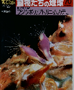朝日百科　10/25号　動物たちの地球 70