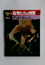 朝日百科動物たちの地球　41　4/5号