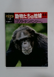 動物たちの地球　44