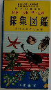 植物・昆虫・貝・鉱物　採集図鑑