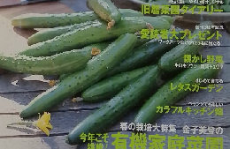 やさし畑　2005年　春号