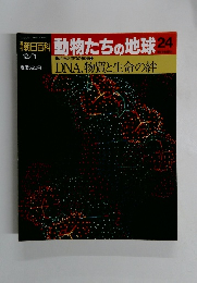 朝日百科 動物たちの地球24　12/1号