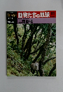 朝日百科動物たちの地球 111　8/15号
