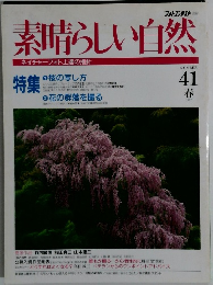素晴らしい自然　41 1997年春