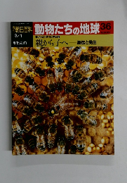 朝日百科動物たちの地球　36　3/1号
