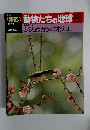 朝日百科動物たちの地球33　2/9号