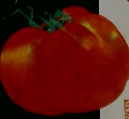 NHKきょうの料理　1987年8月号