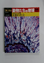 朝日百科 動物たちの地球 84