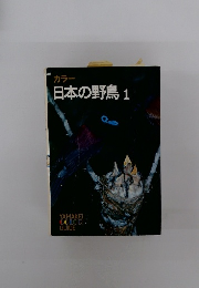 日本の野鳥1