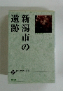 新潟市の遺跡