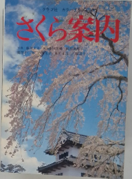 さくら案内　