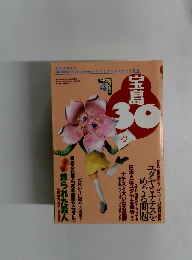 宝島30　1995年4月号