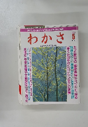 わかさ　1994年5月号