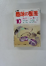 NHK趣味の園芸 1986年10月号