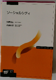ソーシャルシティ　2017年　
