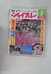 ジョイフル　1989年3月号