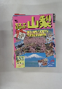 るるぶ 山梨　1993年
