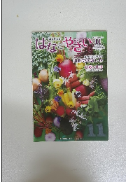 はなとやさい 2022年11月号