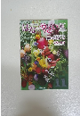 はなとやさい 2022年11月号