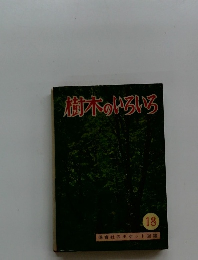 樹木のいろいろ 18　