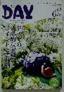DAY　2011年6月号　Vol.138