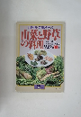 山菜と野草 の料理　157