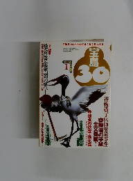 宝島30　1995年1月号