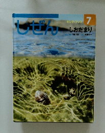 しぜん キンダーブック 7 しおだまり