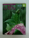 しぜん6